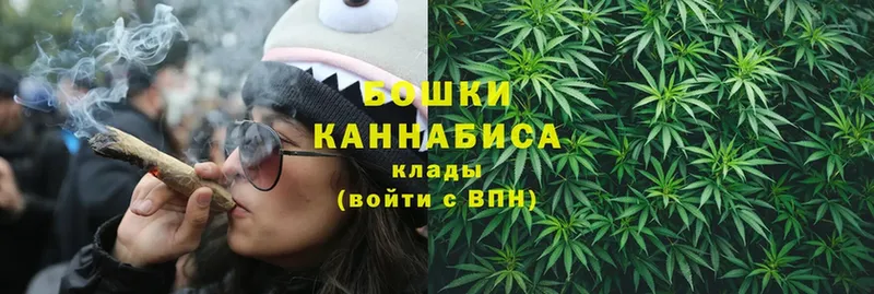 где найти   Саров  Канабис OG Kush 